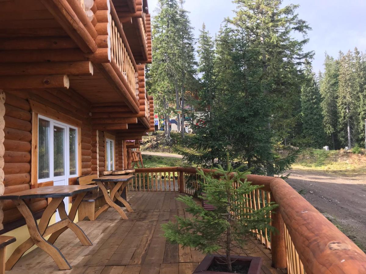 Alpin Eco Chalet & Wellness Драгобрат Екстериор снимка