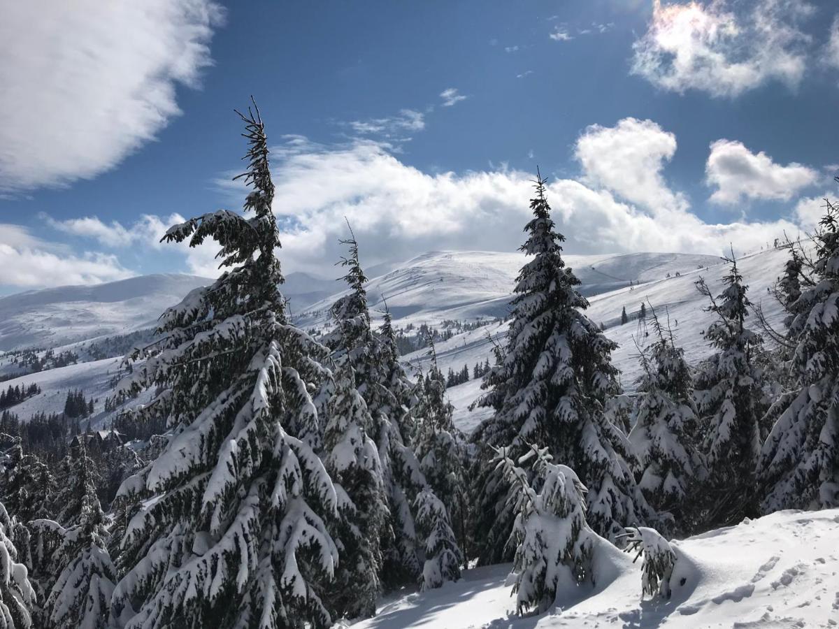 Alpin Eco Chalet & Wellness Драгобрат Екстериор снимка