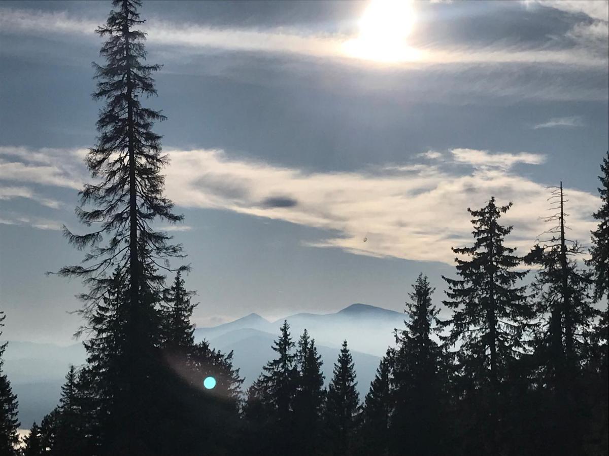 Alpin Eco Chalet & Wellness Драгобрат Екстериор снимка